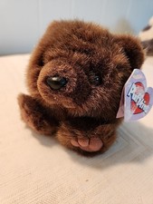 Puffkins Bear Brown - Grizwald 6652 1998 w Hang Tag