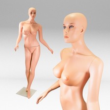 Damen Schaufensterpuppe Schneiderpuppe Torso Mannequin Deko Schaufensterfigur