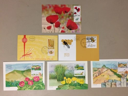 Six Israel INSECTS and FLOWERS maxi cards
