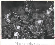 Press Photo Flock of Ducks take fight - hca18009