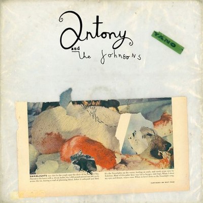 ANTONY AND THE JOHNSONS SWANLIGHTS NEW LP