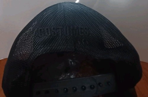 2025 SUPERMAN JAMES GUNN FILM CREW HAT COSTUMES - Picture 9 of 9