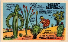 Postcard Desert Desperados Plants Saguaro Yucca Bisnaga Vintage advertising