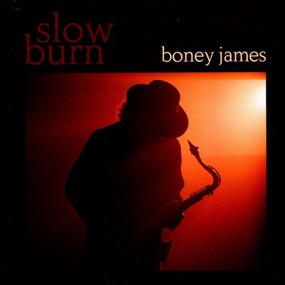 Boney James - Slow Burn (Vinyl LP - 2024 - US - Original)