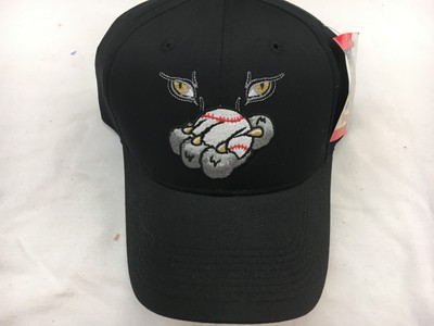 minor league baseball snapback hats