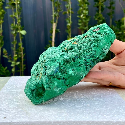 3,1 libbre malachite lucida naturale occhio di gatto trasparente grappolo minerale grezzo campione - Foto 11 di 15