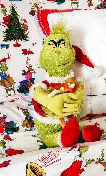 Disney Pottery Barn Grinch Christmas animal toy Disney holiday gift boy , - Image 3 of 4