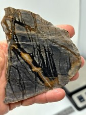 Picasso Marble (Jasper) end cut Slab Cabbing Lapidary Utah Combo Ship Avail