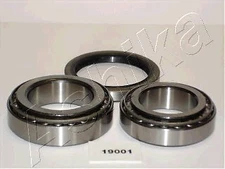Ashika 44-19001 Wheel Bearing Kit for Isuzu Opel
