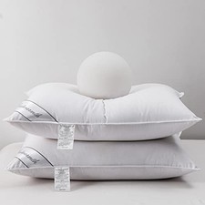 Natural Goose Down Feather Pair Hotel Pillows Insert Standard Pack of 2 White