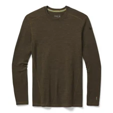 NEW Smartwool Men's M Merino 250 Base Layer Crew Top (Military Olive Heather)