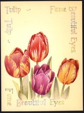 Modern Postcard: Language of Flowers - The TULIP.  Ref: Athena 9552. Free UK p&p