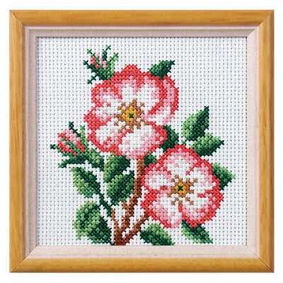 Orchidea Cross Stitch Kit: Hund Rose