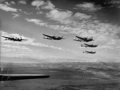 WW2 WWII Photo World War Two / US Army P-38 Lightning Fighters Tunisia  USAAF