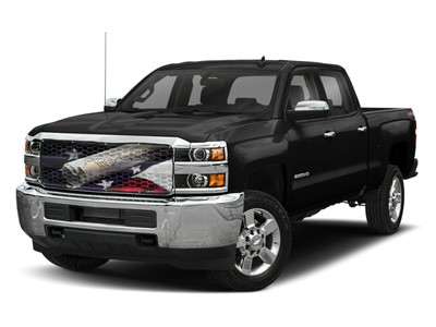 GrilleAdz  2015-18 CHEVY SILVERADO HD WE THE PEOPLE Bug Screen BS-901-28-WTP