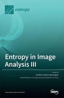 Entropy In Image Analysis III | Buch | Englisch (2022) | Gebunden | Mdpi AG