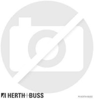Herth+Buss Jakoparts J5382008 ZüNdleitungssatz ZüNdkabelsatz ZüNdkabel