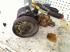 Pompe direction assistée Renault R19