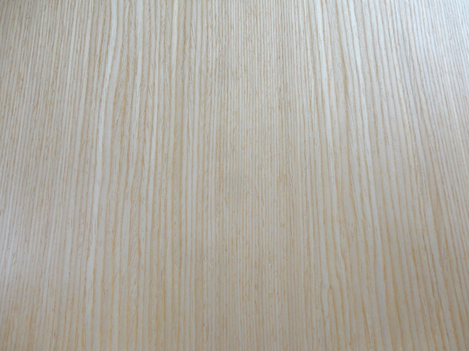 Foto 4 di 4