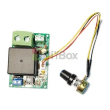 DC 12/24V Time Relay Module Trigger Timer Switch Module with Potentiometer 80A