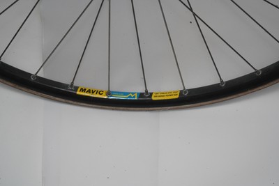 mavic ellipse track