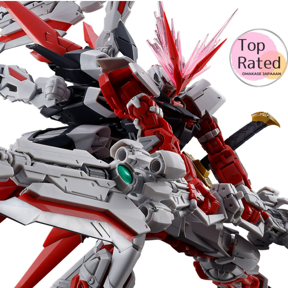 Bandai Amazon.com: DRAGONICS RED STRAY GUNDAM LBUILD コミック