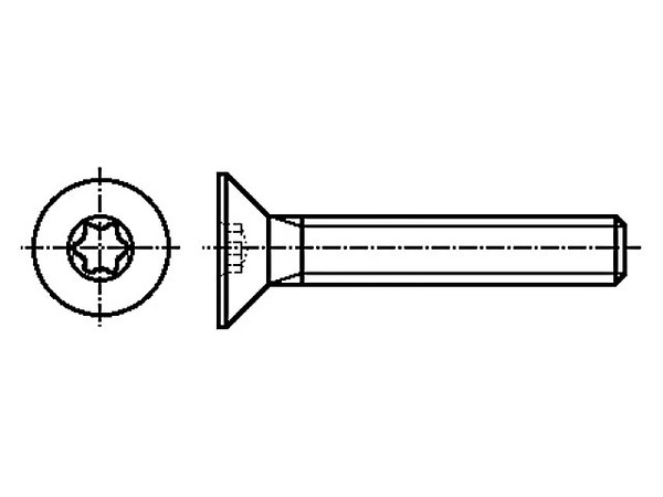 200X M2X10/BN20039 ISO14581 3183887 Schraube M2X10 Kopf: Senkkopf Torx® TX06 Iso-image