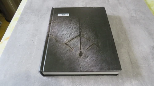 2015 Bloodborne Collector's Edition Hardcover Strategy Guide Book