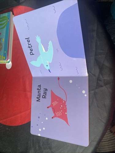 *KIDS* Ocean Collection 6 Early Learning Books (Hardcover Book) 40% Off - Imagen 12 de 24