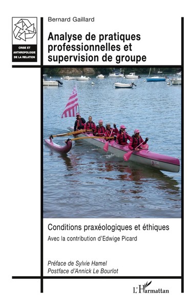 Bernard Gaillard | Analyse de Pratiques Professionnelles et Supervision De...-image