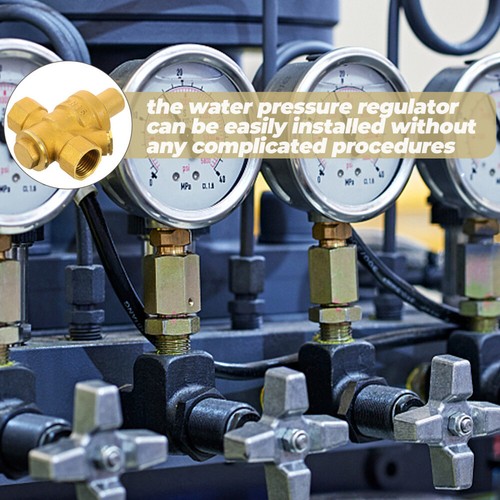 Regulator Valve Rv Water Pressure Precision Reducing for Reducer - Afbeelding 4 van 12