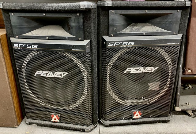 peavey 1000 watt speakers