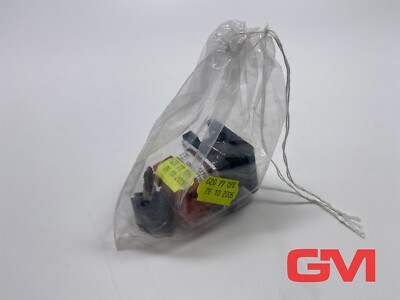 Elektra Tailfingen Key Switch V2N A1-KZF15-ZE-XI8 25A 142755