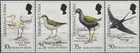 Tristan da Cunha Vagrant Birds 1989 MNH-16 Euro