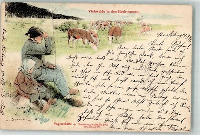 13289565 - Vosges Map No 4 Cattle Pasture in the High Vosges Spindler, E. 1899