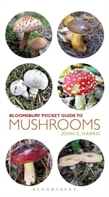 Pocket Guide To Mushrooms John C. Harris - Image 4