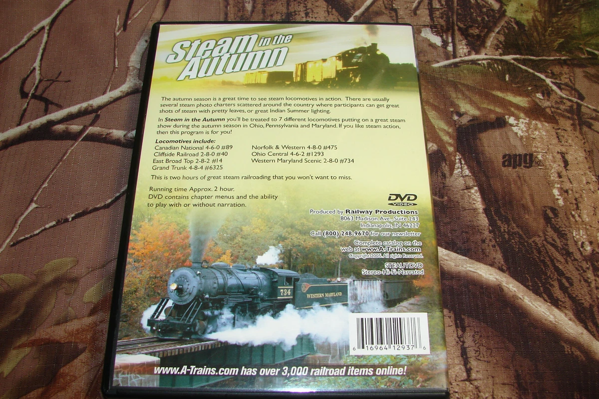 Train Kingdom no Steam