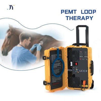 PEMF Therapy Machine Pmst loop Pulsed Electromagnetic Field Mat Home Massage