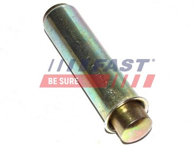 FAST Spannrolle Zahnriemen für Fiat Ducato Pritsche/Fahrgestell 2.8 JTD 2.5 D