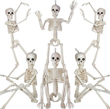 Skeleton Halloween Decorations 16 Inch Full Body Movable Joints Indoor Outdoor