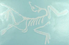 2 ARCTERYX Indoor/Outdoor Decal Stickers (White) 6.5 in. x 4.3 in. *Made in USA