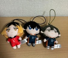 haikyuu mascot
