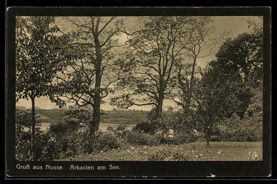 Nusse, Arkacien am See, Ansichtskarte 