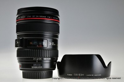 Canon EF 24-105mm F/4 L Makro IS USM Ausgezeichnet