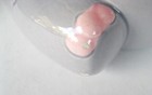 Foto 13 di 14