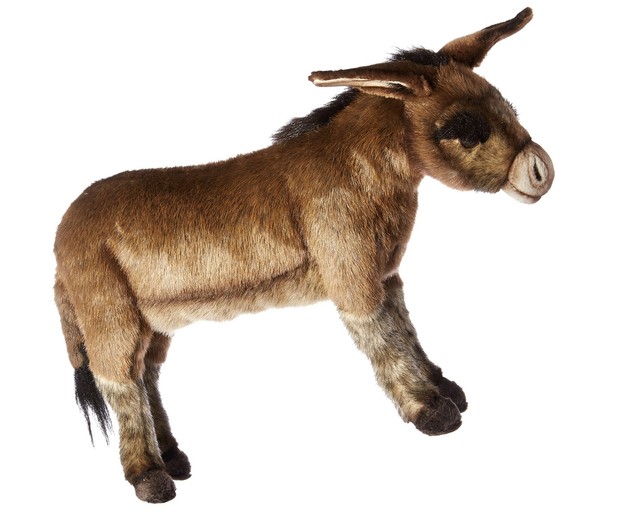 hansa donkey