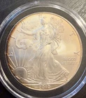 🇺🇸2010 American Eagle Silver Dollar Uncirculated 1 Oz .999 Toned Out🌟
