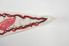 DETROIT RED WINGS Vintage NHL 1995-96 "I Want Stanley" Team Photo Pennant Banner — photo 4