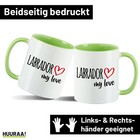 Bild 36 von 55