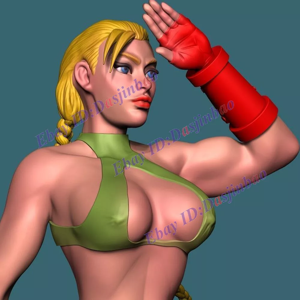 Cammy SF6 | 3D model